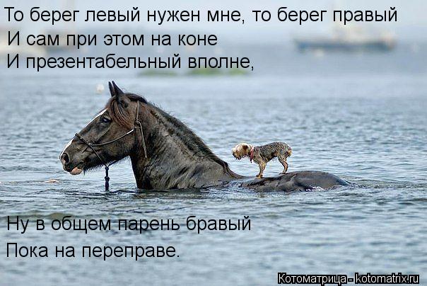 То берег левый нужен мне, то берег правый И сам при этом на коне И презентабельный вполне, Ну в общем... Котоматрица: То берег левый нужен мне, то берег правый И сам при этом на коне И презентабельный вполне, Ну в общем парень бравый Пока на переправе.