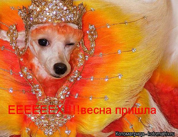 ЕЕЕЕЕЕХ!!!!весна пришла... Котоматрица: ЕЕЕЕЕЕХ!!!!весна пришла