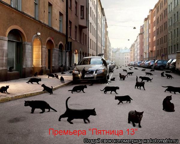 Премьера "Пятница 13"... Котоматрица: Премьера "Пятница 13"