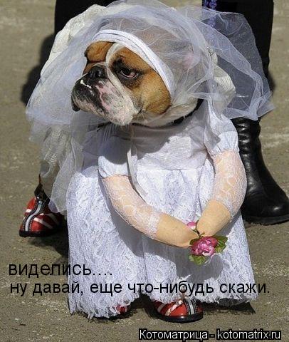 виделись.... ну давай, еще что-нибудь скажи.... Котоматрица: виделись.... ну давай, еще что-нибудь скажи.