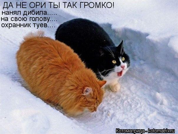 ДА НЕ ОРИ ТЫ ТАК ГРОМКО! нанял дибила..... на свою голову.... охранник туев....... Котоматрица: ДА НЕ ОРИ ТЫ ТАК ГРОМКО! нанял дибила..... на свою голову.... охранник туев....