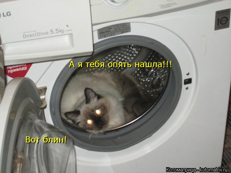 А я тебя опять нашла!!! Вот блин!... Котоматрица: А я тебя опять нашла!!! Вот блин!