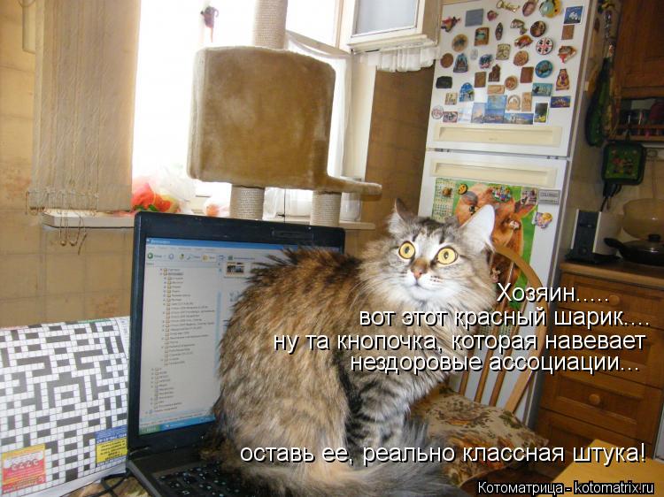 Хозяин..... вот этот красный шарик.... ну та кнопочка, которая навевает нездоровые ассоциации... оста... Котоматрица: Хозяин..... вот этот красный шарик.... ну та кнопочка, которая навевает нездоровые ассоциации... оставь ее, реально классная штука!