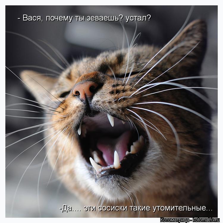 - Вася, почему ты зеваешь? устал? -Да.... эти сосиски такие утомительные...... Котоматрица: - Вася, почему ты зеваешь? устал? -Да.... эти сосиски такие утомительные...