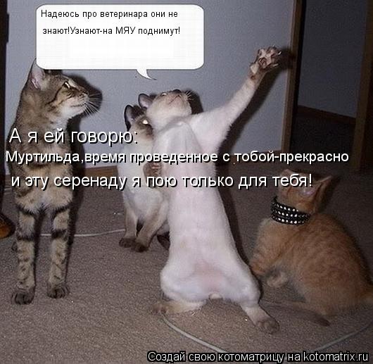 А я ей говорю: и эту серенаду я пою только для тебя! Надеюсь про ветеринара они не знают!Узнают-на ... Котоматрица: А я ей говорю: и эту серенаду я пою только для тебя! Надеюсь про ветеринара они не знают!Узнают-на МЯУ поднимут! Муртильда,время проведенное