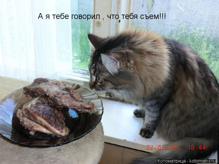 А я тебе говорил , что тебя съем!!!... Котоматрица: А я тебе говорил , что тебя съем!!!