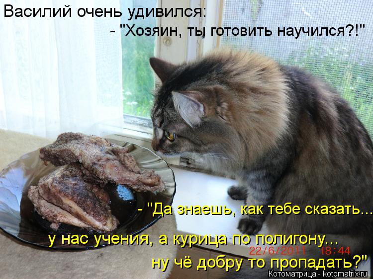 Василий очень удивился: - "Хозяин, ты готовить научился?!" - "Да знаешь, как тебе сказать... у нас уч... Котоматрица: Василий очень удивился: - "Хозяин, ты готовить научился?!" - "Да знаешь, как тебе сказать... у нас учения, а курица по полигону... ну чё добру то пр