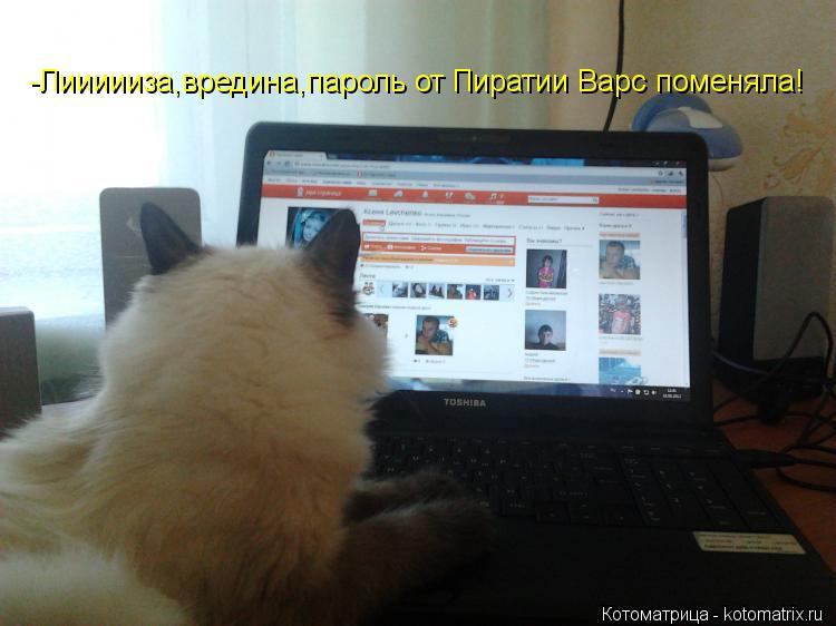 -Лиииииза,вредина,пароль от Пиратии Варс поменяла!... Котоматрица: -Лиииииза,вредина,пароль от Пиратии Варс поменяла!