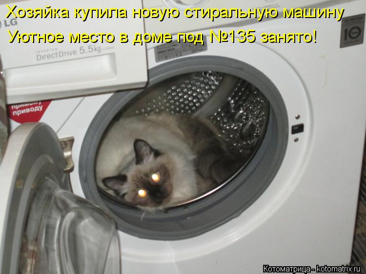 Хозяйка купила новую стиральную машину Уютное место в доме под №135 занято!... Котоматрица: Хозяйка купила новую стиральную машину Уютное место в доме под №135 занято!