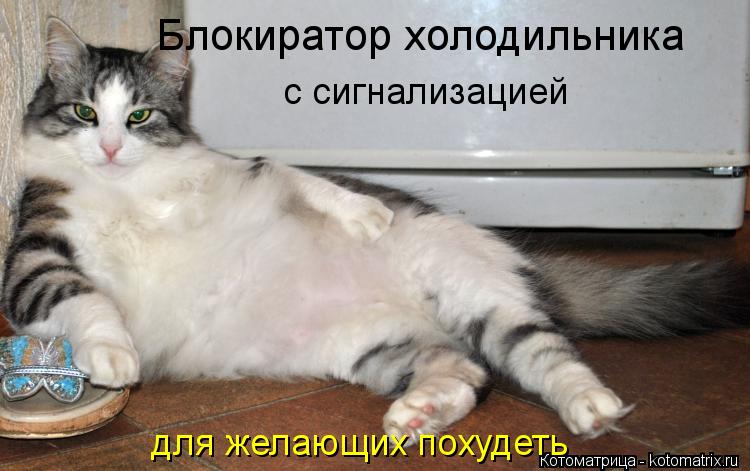 Блокиратор холодильника с сигнализацией для желающих похудеть... Котоматрица: Блокиратор холодильника с сигнализацией для желающих похудеть