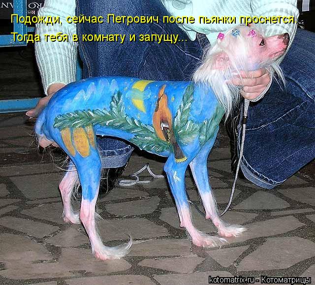 Подожди, сейчас Петрович после пьянки проснется. Тогда тебя в комнату и запущу...... Котоматрица: Подожди, сейчас Петрович после пьянки проснется. Тогда тебя в комнату и запущу...