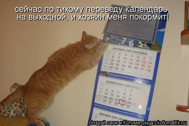 сейчас по тихому переведу календарь на выходной, и хозяин меня покормит!... Котоматрица: сейчас по тихому переведу календарь на выходной, и хозяин меня покормит!