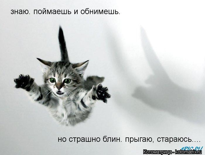знаю. поймаешь и обнимешь. но страшно блин. прыгаю, стараюсь....... Котоматрица: знаю. поймаешь и обнимешь. но страшно блин. прыгаю, стараюсь....
