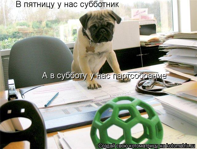А в субботу у нас партсобрание В пятницу у нас субботник... Котоматрица: А в субботу у нас партсобрание В пятницу у нас субботник