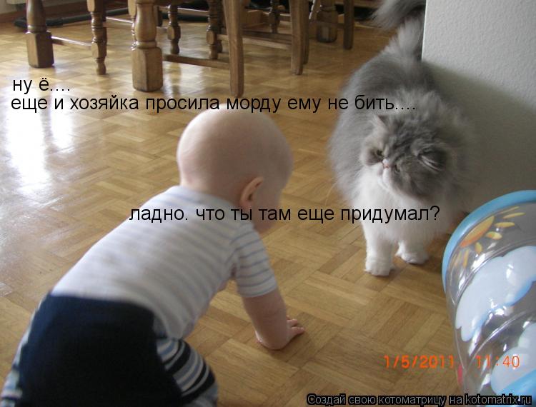 ну ё.... еще и хозяйка просила морду ему не бить.... ладно. что ты там еще придумал?... Котоматрица: ну ё.... еще и хозяйка просила морду ему не бить.... ладно. что ты там еще придумал?