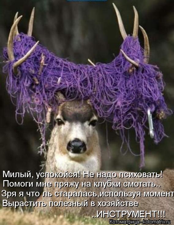 Милый, успокойся! Не надо психовать! Помоги мне пряжу на клубки смотать.. Зря я что ль старалась,испо... Котоматрица: Милый, успокойся! Не надо психовать! Помоги мне пряжу на клубки смотать.. Зря я что ль старалась,используя момент Вырастить полезный в хозяй