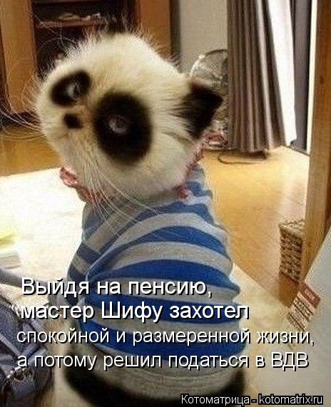 Выйдя на пенсию, мастер Шифу захотел спокойной и размеренной жизни, а потому решил податься в ВДВ... Котоматрица: Выйдя на пенсию, мастер Шифу захотел спокойной и размеренной жизни, а потому решил податься в ВДВ