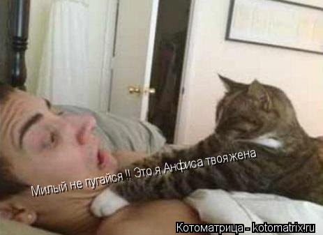 Милый не пугайся !! Это я Анфиса твоя жена... Котоматрица: Милый не пугайся !! Это я Анфиса твоя жена