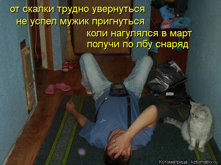 от скалки трудно увернуться не успел мужик пригнуться получи по лбу снаряд коли нагулялся в март... Котоматрица: от скалки трудно увернуться не успел мужик пригнуться получи по лбу снаряд коли нагулялся в март