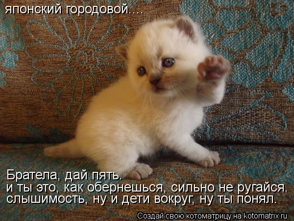 японский городовой.... Братела, дай пять. и ты это, как обернешься, сильно не ругайся. слышимость, ну... Котоматрица: японский городовой.... Братела, дай пять. и ты это, как обернешься, сильно не ругайся. слышимость, ну и дети вокруг, ну ты понял.