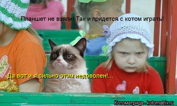 Планшет не взяли! Так и придется с котом играть! Да вот и я сильно этим недоволен!...... Котоматрица: Планшет не взяли! Так и придется с котом играть! Да вот и я сильно этим недоволен!...