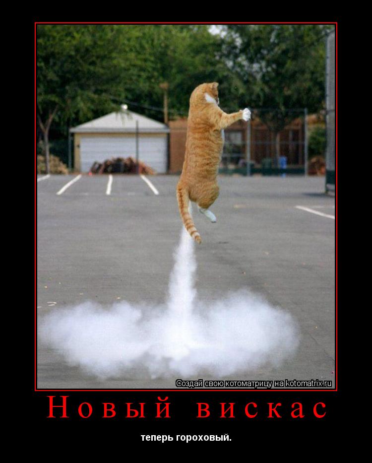 Новый вискас теперь гороховый.... Котоматрица: Новый вискас теперь гороховый.