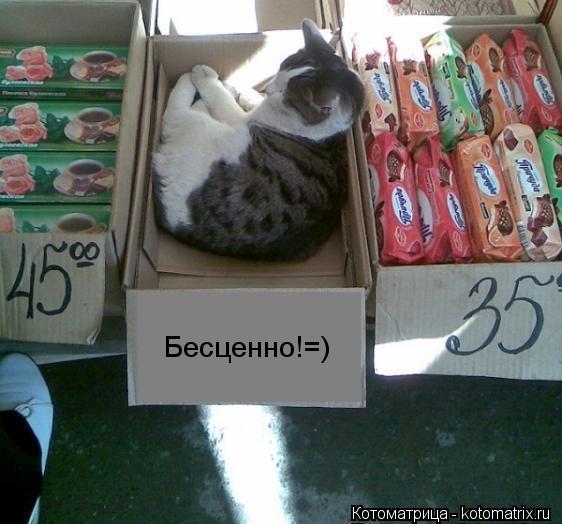 Бесценно!=)... Котоматрица: Бесценно!=)
