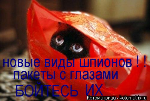 новые виды шпионов новые виды шпионов ! ! пакеты с глазами БОЙТЕСЬ ИХ... Котоматрица: новые виды шпионов новые виды шпионов ! ! пакеты с глазами БОЙТЕСЬ ИХ