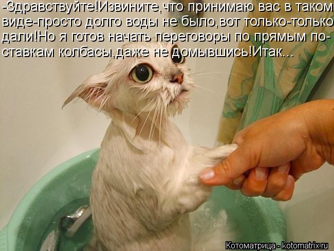 -Здравствуйте!Извините,что принимаю вас в таком виде-просто долго воды не было,вот только-только дали... Котоматрица: -Здравствуйте!Извините,что принимаю вас в таком виде-просто долго воды не было,вот только-только дали!Но я готов начать переговоры по прямы