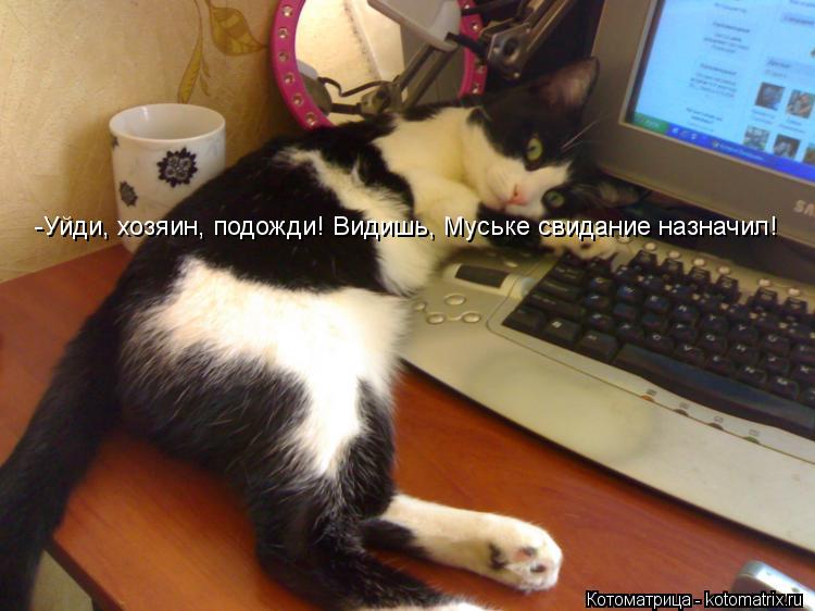 Котоматрица: -Уйди, хозяин, подожди! Видишь, Муське свидание назначил!