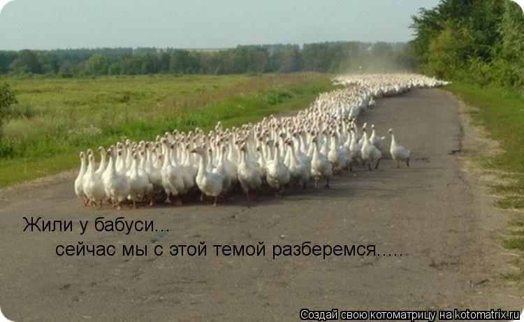 Жили у бабуси... сейчас мы с этой темой разберемся........ Котоматрица: Жили у бабуси... сейчас мы с этой темой разберемся.....