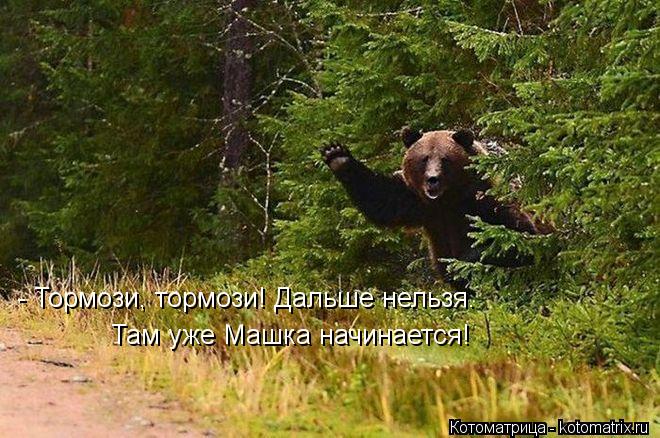 - Тормози, тормози! Дальше нельзя. Там уже Машка начинается!... Котоматрица: - Тормози, тормози! Дальше нельзя. Там уже Машка начинается!