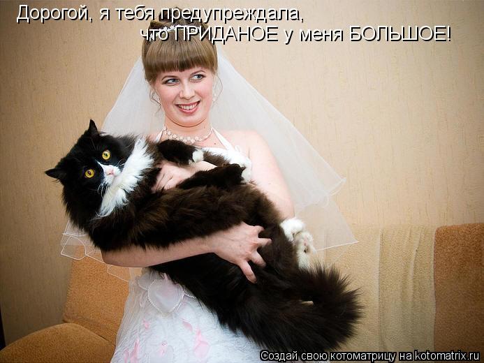 Дорогой, я тебя предупреждала, что ПРИДАНОЕ у меня БОЛЬШОЕ!... Котоматрица: Дорогой, я тебя предупреждала, что ПРИДАНОЕ у меня БОЛЬШОЕ!