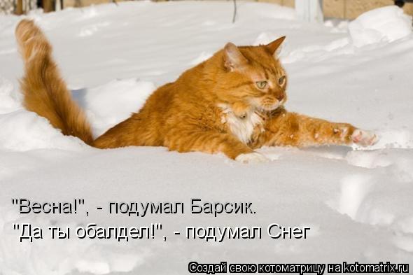 "Весна!", - подумал Барсик. "Да ты обалдел!", - подумал Снег... Котоматрица: "Весна!", - подумал Барсик. "Да ты обалдел!", - подумал Снег