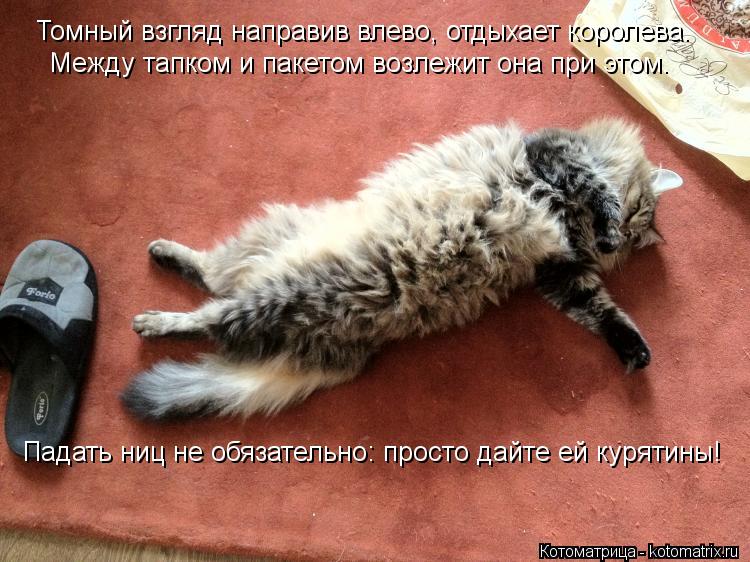 Томный взгляд направив влево, отдыхает королева. Между тапком и пакетом возлежит она при этом. Падать... Котоматрица: Томный взгляд направив влево, отдыхает королева. Между тапком и пакетом возлежит она при этом. Падать ниц не обязательно: просто дайте ей ку