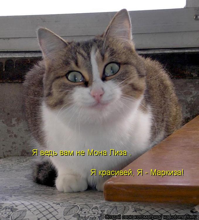 Я красивей, Я - Маркиза! Я ведь вам не Мона Лиза ,... Котоматрица: Я красивей, Я - Маркиза! Я ведь вам не Мона Лиза ,