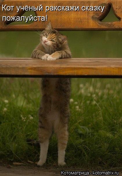 Кот учёный ракскажи сказку пожалуйста!... Котоматрица: Кот учёный ракскажи сказку пожалуйста!