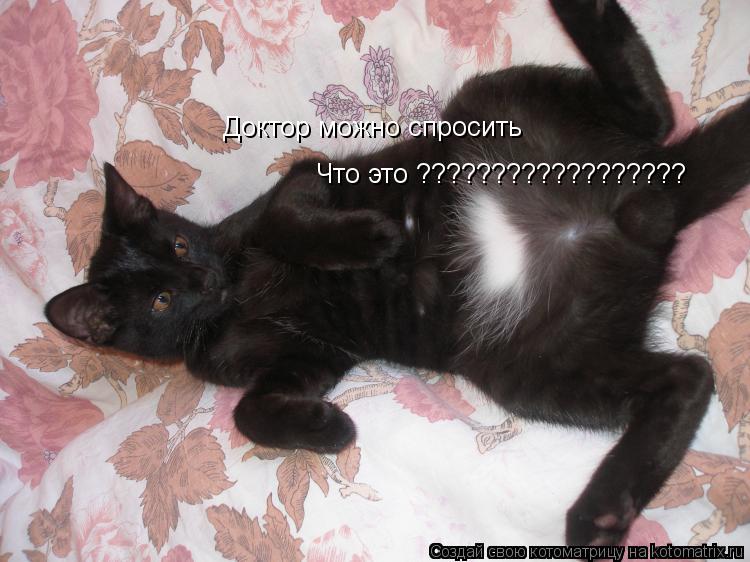Доктор можно спросить Что это ??????????????????... Котоматрица: Доктор можно спросить Что это ??????????????????
