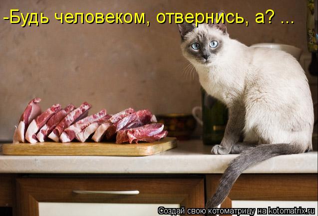-Будь человеком, отвернись, а? ...... Котоматрица: -Будь человеком, отвернись, а? ...