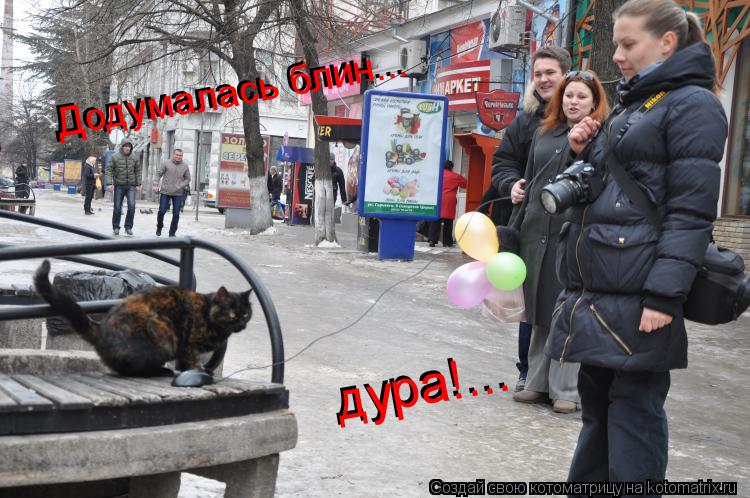 Додумалась блин... Додумалась блин... дура!... дура!...... Котоматрица: Додумалась блин... Додумалась блин... дура!... дура!...