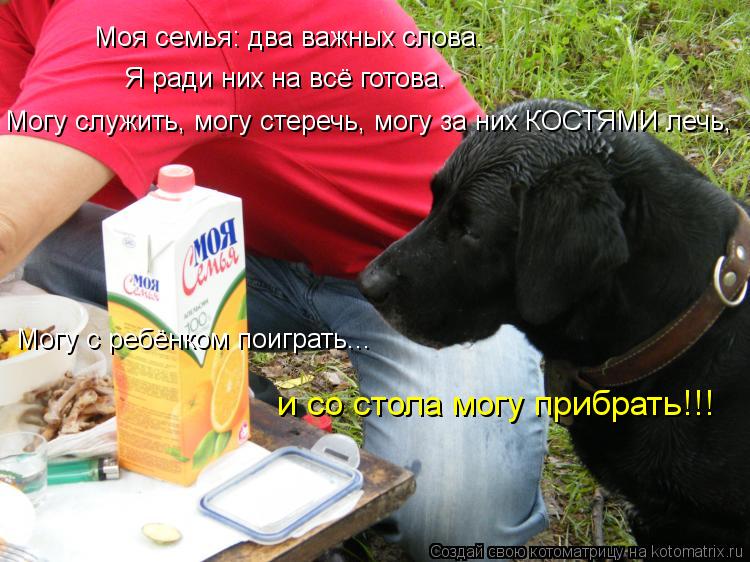 Моя семья: два важных слова. Я ради них на всё готова. Могу служить, могу стеречь, могу за них КОСТЯМ... Котоматрица: Моя семья: два важных слова. Я ради них на всё готова. Могу служить, могу стеречь, могу за них КОСТЯМИ лечь, Могу с ребёнком поиграть... и со ст