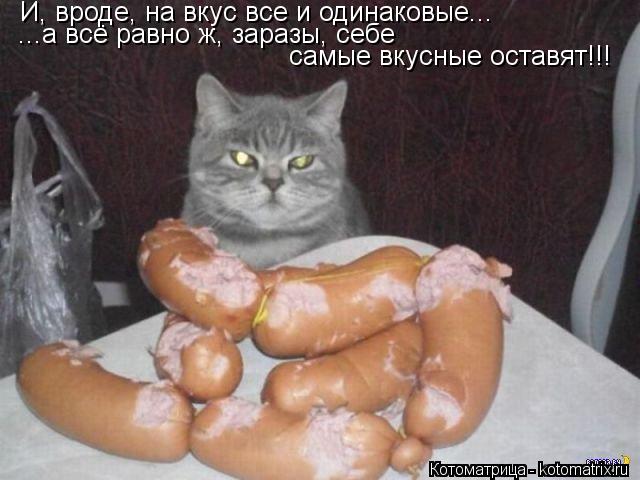 И, вроде, на вкус все и одинаковые... ...а всё равно ж, заразы, себе самые вкусные оставят!!!... Котоматрица: И, вроде, на вкус все и одинаковые... ...а всё равно ж, заразы, себе самые вкусные оставят!!!