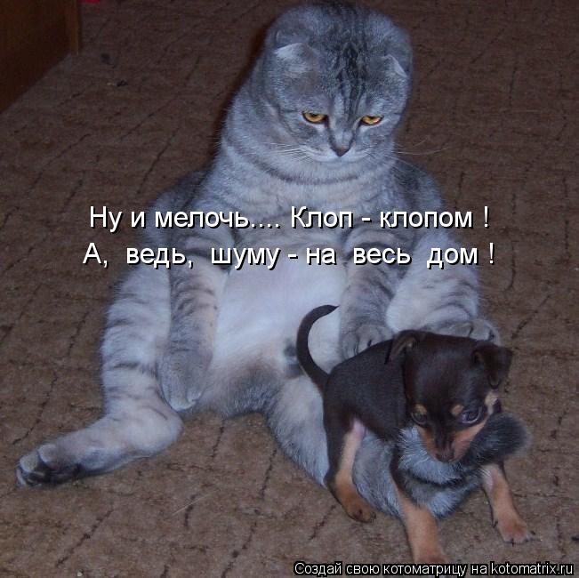 Ну и мелочь.... Клоп - клопом ! А, ведь, шуму - на весь дом !... Котоматрица: Ну и мелочь.... Клоп - клопом ! А, ведь, шуму - на весь дом !