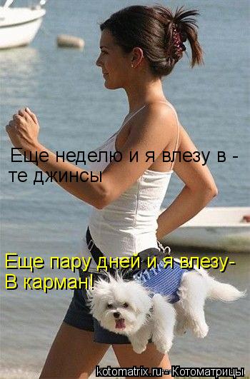 Еще неделю и я влезу в - те джинсы Еще пару дней и я влезу- В карман!... Котоматрица: Еще неделю и я влезу в - те джинсы Еще пару дней и я влезу- В карман!