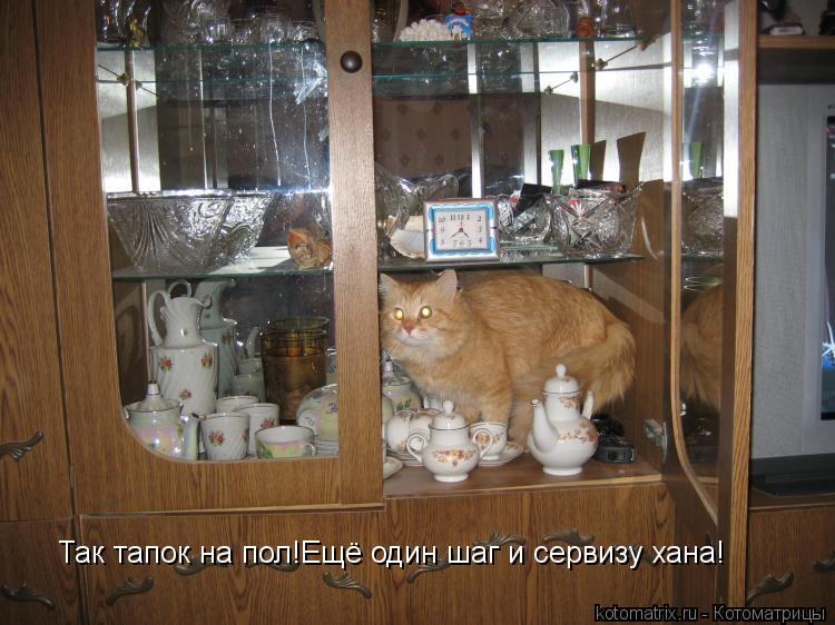 Так тапок на пол!Ещё один шаг и сервизу хана!... Котоматрица: Так тапок на пол!Ещё один шаг и сервизу хана!