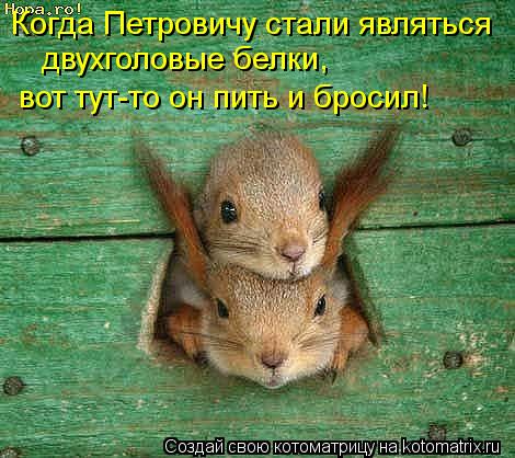 Когда Петровичу стали являться вот тут-то он пить и бросил! двухголовые белки,... Котоматрица: Когда Петровичу стали являться вот тут-то он пить и бросил! двухголовые белки,