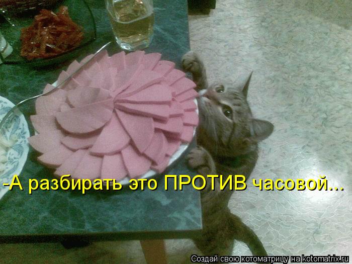 -А разбирать это ПРОТИВ часовой...... Котоматрица: -А разбирать это ПРОТИВ часовой...