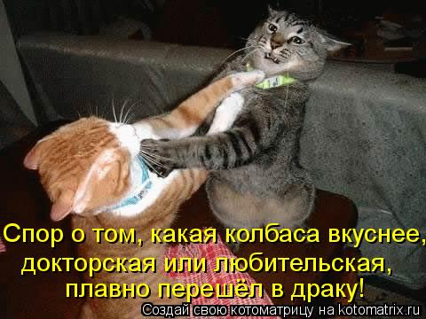 плавно перешёл в драку! докторская или любительская, Спор о том, какая колбаса вкуснее,... Котоматрица: плавно перешёл в драку! докторская или любительская, Спор о том, какая колбаса вкуснее,