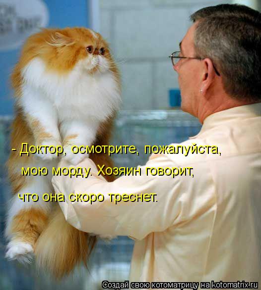 - Доктор, осмотрите, пожалуйста, мою морду. Хозяин говорит, что она скоро треснет.... Котоматрица: - Доктор, осмотрите, пожалуйста, мою морду. Хозяин говорит, что она скоро треснет.