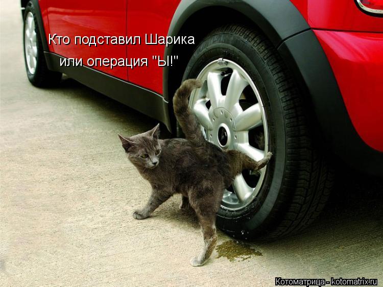 Кто подставил Шарика или операция "Ы!"... Котоматрица: Кто подставил Шарика или операция "Ы!"